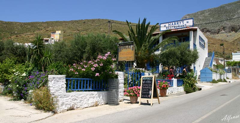 harry's paradise taverna.jpg
